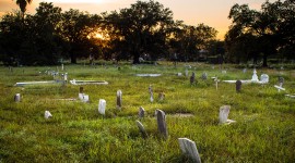 Holt Cemetery, New Orleans, LA