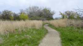 Jackson Park, Chicago, IL