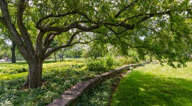 Jackson Park, Chicago, IL