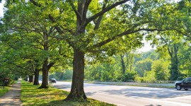 Fall Creek Parkway, Indianapolis, IN