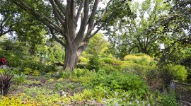 Indianapolis Museum of Art at Newfields, Indianapolis, IN