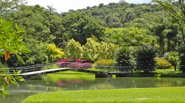 Inhotim, Brazil