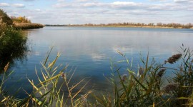 Jamaica Bay Wildlife Refuge, Broad Channel, NY