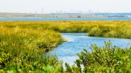 Jamaica Bay Wildlife Refuge, Broad Channel, NY