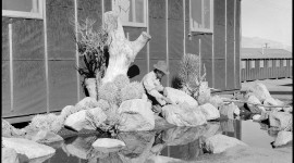 Desert Garden, Manzanar Relocation Center