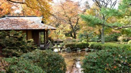 Kykuit Japanese Garden, Sleepy Hollow, NY