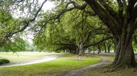 Audubon Park, New Orleans, LA