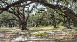 City Park, New Orleans, LA