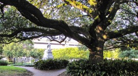 Margaret Place, New Orleans, LA