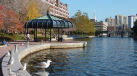 Lechmere Canal Park, Cambridge, MA