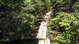 Long Trail, Lincoln, VT