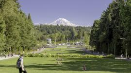 Lower Rainier Vista