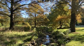 Arnold Arboretum, Boston, MA