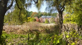 Arnold Arboretum