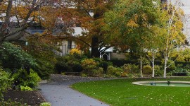 Prouty Garden in 2011