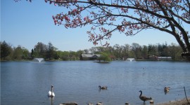Buttonwood Park, New Bedford, MA