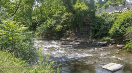 Jones Falls, Baltimore, MD