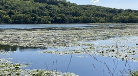 Lilydale Regional Park, St. Paul, MN