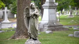 Calvary Cemetery, St. Louis, MO