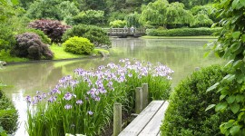 Missouri Botanical Garden Japanese Garden, St. Louis, MO