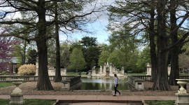 Tower Grove Park, 2021.