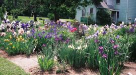 Margaret Thomas' Garden, Herndon, VA