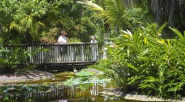 McKee Botanic Gardens, Vero Beach, FL