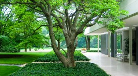 Miller House and Garden, Columbus, IN