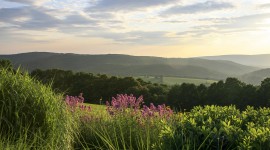 Millerton Estate. Photo courtesy of Larry Weaner