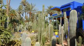 Jardin Majorelle, Marrakech, Morocco