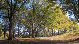 Chavis Park, Raleigh, NC