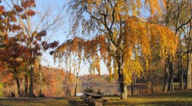 Rahway River Park, designed by Olmsted Brothers - Photo courtesy of The Coalition to Save Historic Rahway River Park, 2015