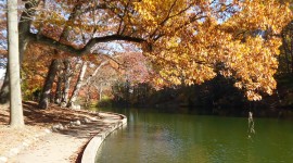 Echo Lake, Mountainside, Union County Park System, NJ