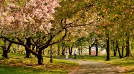 Branch Brook Park, Newark, NJ 