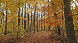 Watchung Reservation, Union County Park system, NJ