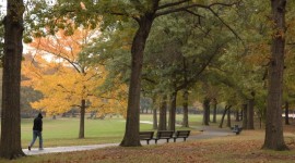 Alley Pond Park, Queens, NY