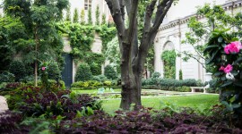 70th Street Garden, The Frick Collection