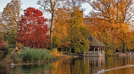 Prospect Park, Brooklyn, NY