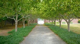 Caumsett Historic State Park Preserve, Long Island, New York