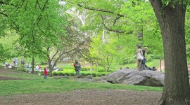 Children's District, Central Park, New York City, NY