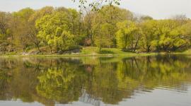 Harlem Meer, Central Park, New York City, NY