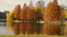 Harlem Meer, Central Park, New York City, NY