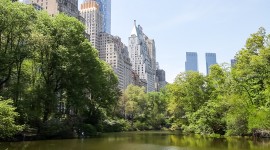 Central Park, New York City