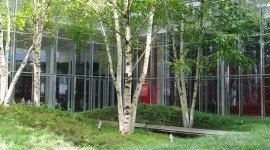 New York Times Building Lobby Garden, New York, NY