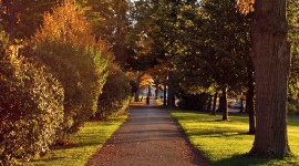 Thompson Park, Watertown, NY