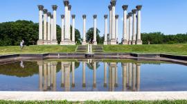 National Arboretum, Washington, DC