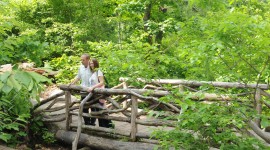 The North Woods, Central Park, New York, NY