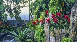 Longwood Gardens-Cascade Garden, Kennett Sqare, PA