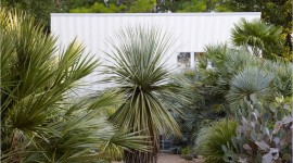 Dry Garden and Art Gallery
