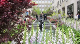 Rockefeller Center, New York, NY